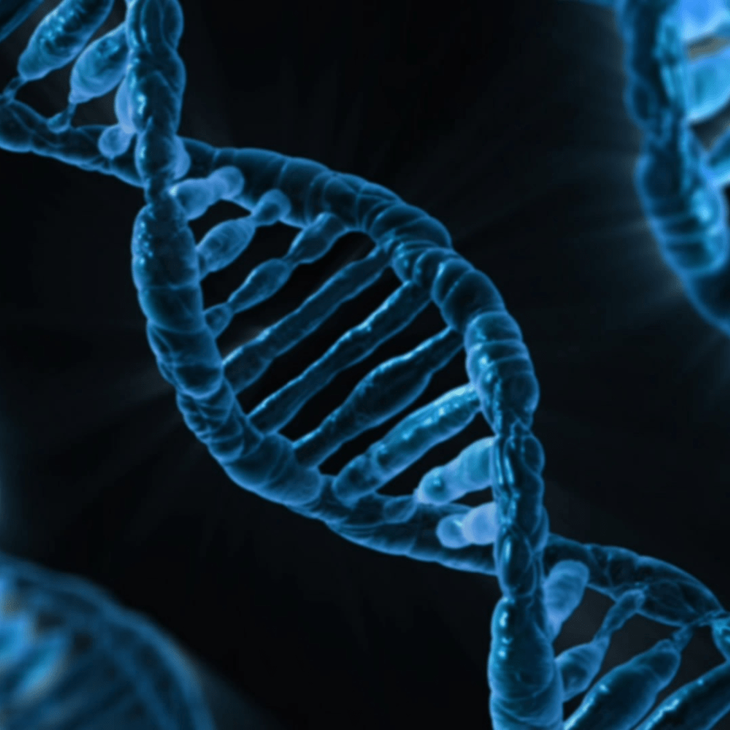 Un Nobel en cinco minutos